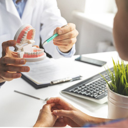 Dentist showing patient model of teeth